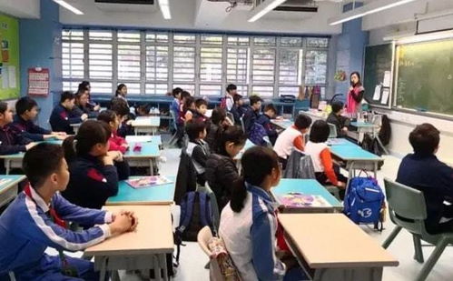 教育 內卷 越來越嚴重,有關部門出手整治民辦學校,家長注意了