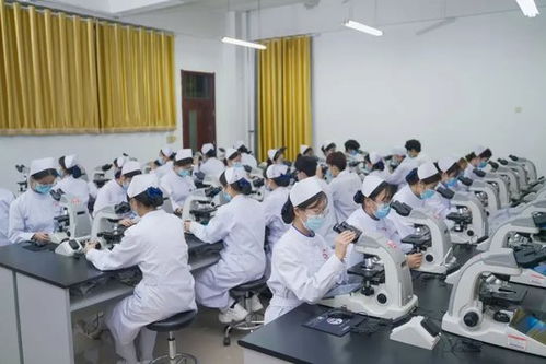 連續兩年 山東協和學院蟬聯全國民辦高校主榜第一名