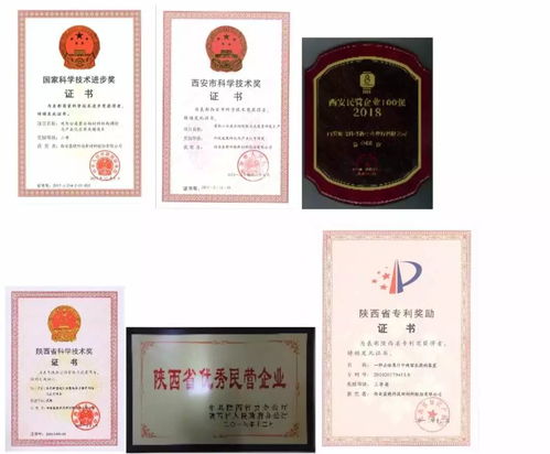 高陵優秀民營企業家 高月靜 以創新促進發展 以發展支持創新