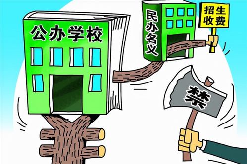 民轉公浪潮下的私立學校 招生盈利之路被斷，民辦高校教師何去何從？